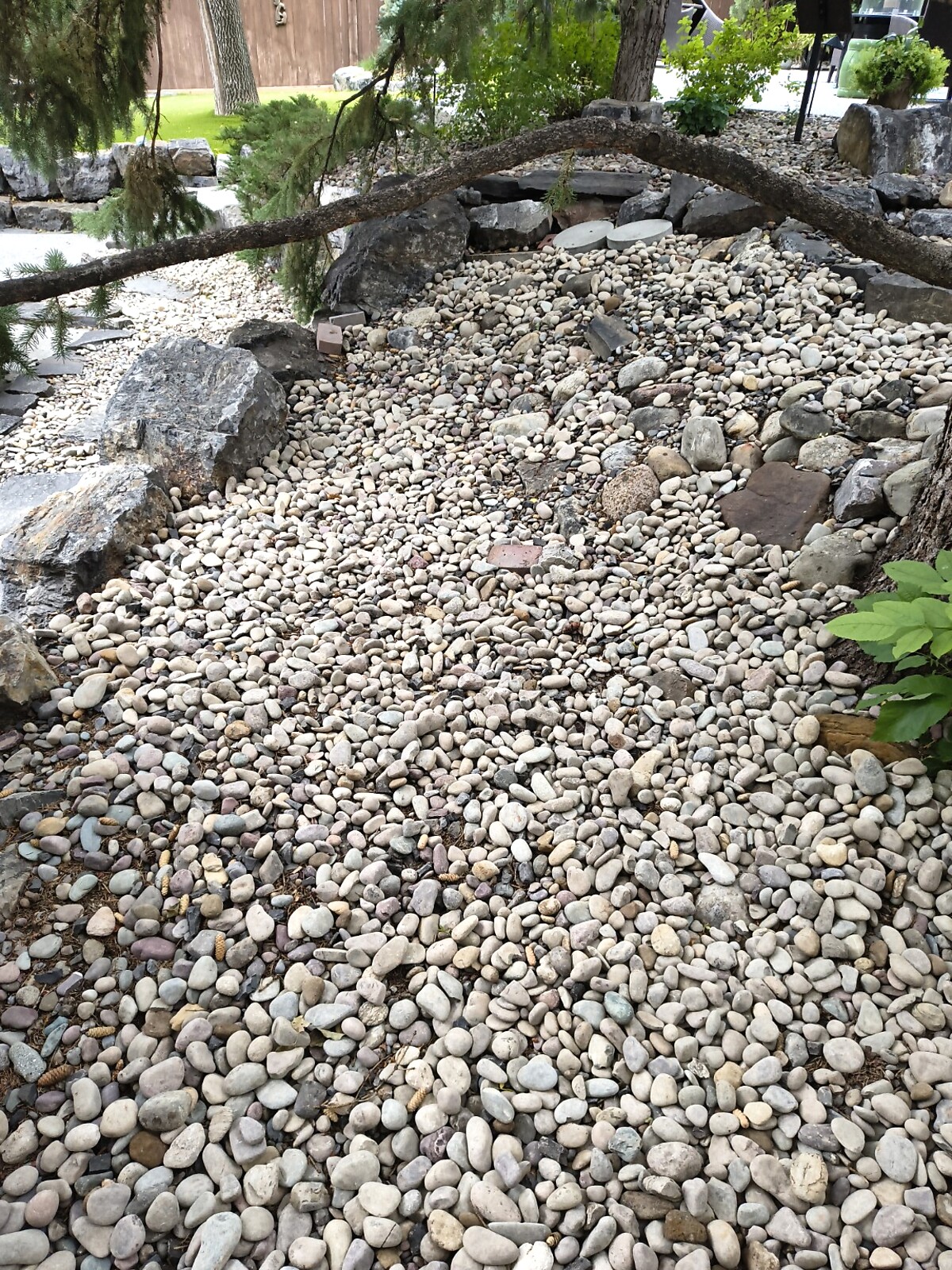 Tree bed after cleanup and gravel refresh