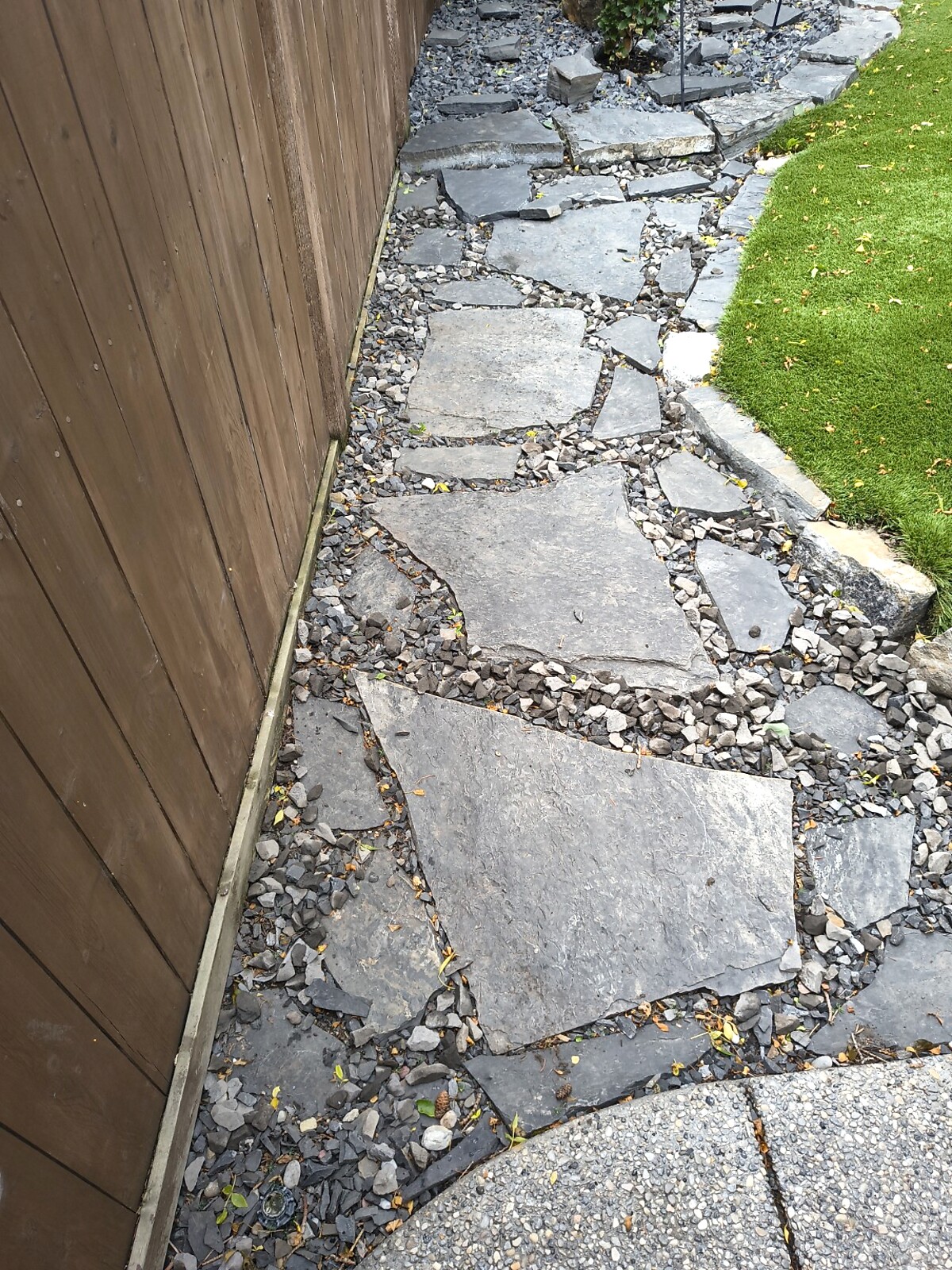 Stone walkway after cleanup